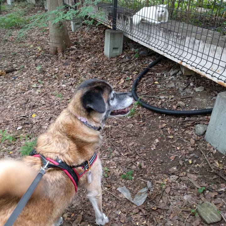 31c57d57 f578 4c3c 93c1 40d323abfeb7