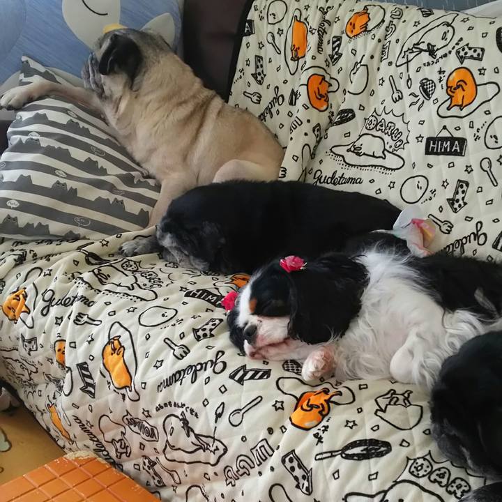 31c5a6ba 23c3 4430 90ed 82b5bf3a80e3