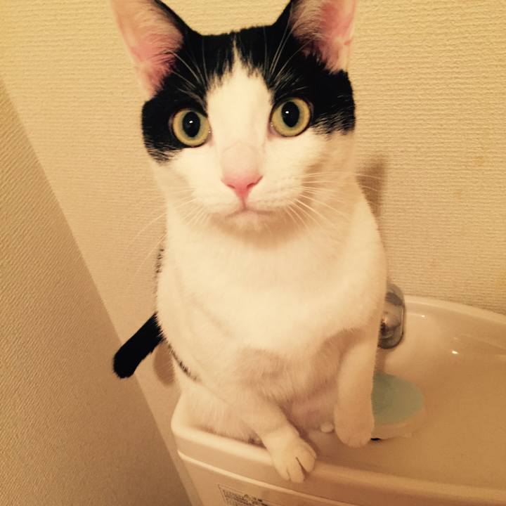 31c5ee15 7e9d 4587 bef8 6d8d50a40bbb