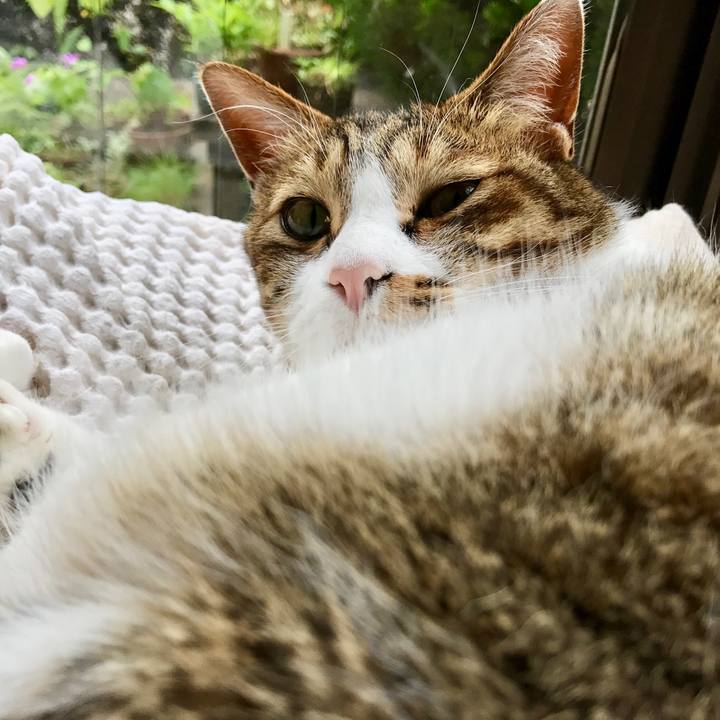 31c66c9f 38b1 4f13 9a61 defe31d223f9