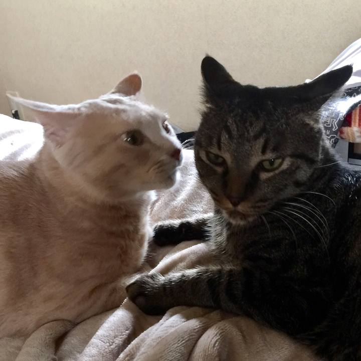 31c6c782 b212 42e3 9f76 38e827420a61