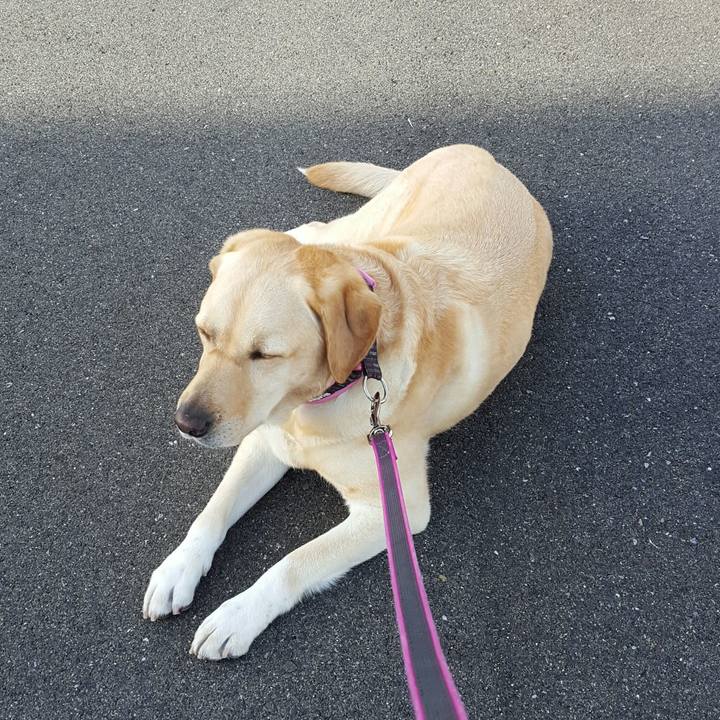 31c77e87 eb92 4af5 82c4 f7878d4c5612