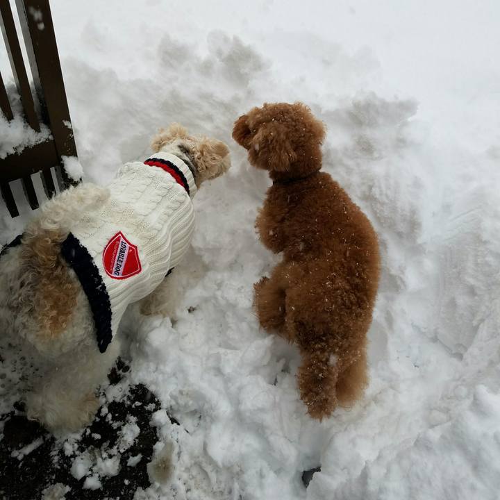 31c78a82 985b 4184 89a4 48b6ba3b188a