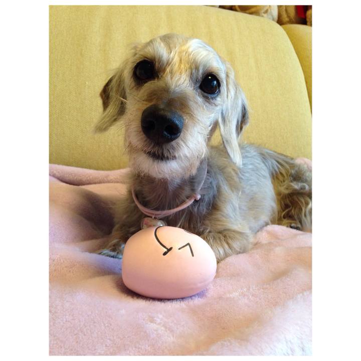 31c792e2 d6f5 45a3 a01d 4ab58fb513a4