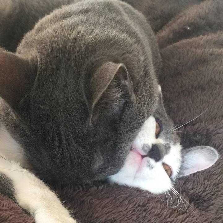 31c79748 45c2 4487 b6f2 71710b3906dc