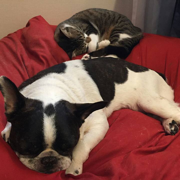 31c7aba2 8bdf 47df ae2a 275328f04473