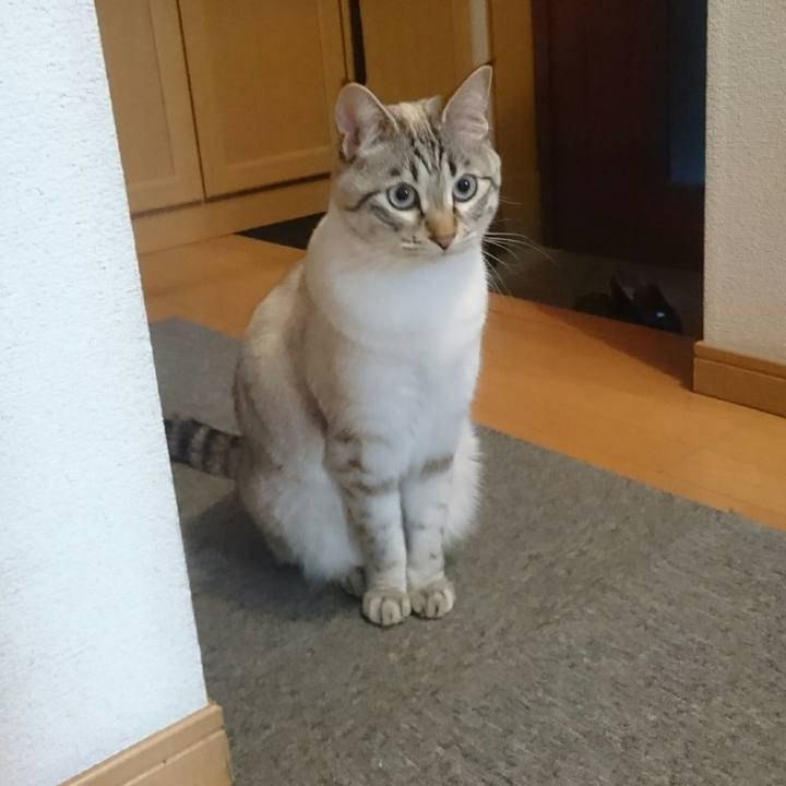 31c7da80 ab56 4159 a113 edd3e6b9a581