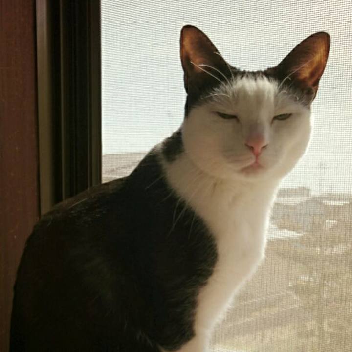 31c7ebc5 3db7 4af7 9693 7c97e254c6ac