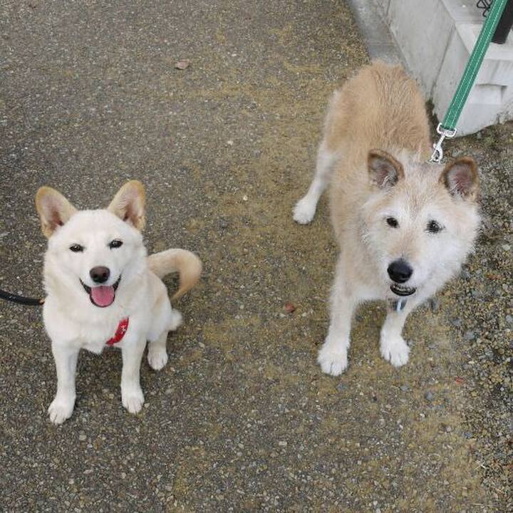 31c7f91b bea7 41e1 9220 47c8a78492e3