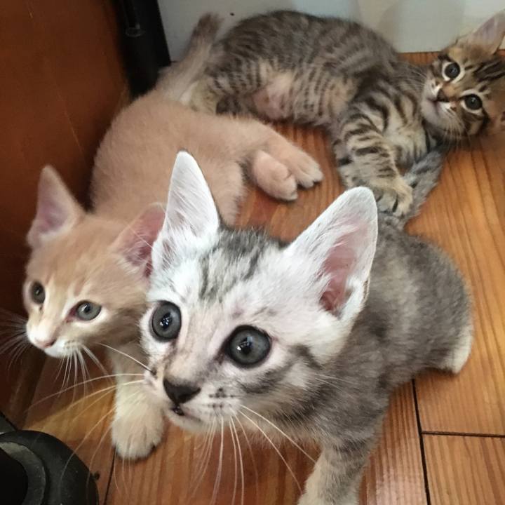 31c8f776 9961 459a 8590 66a176d6f1de