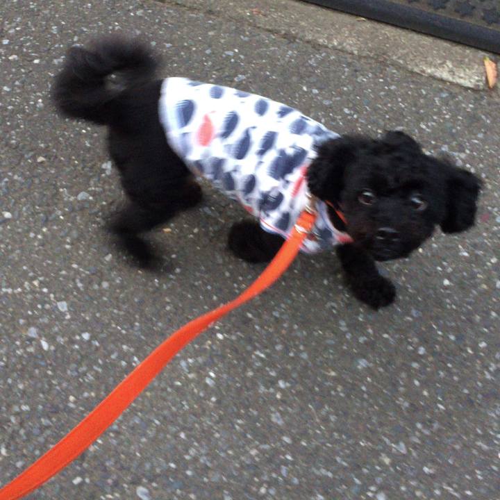 31c95cef 4042 448f a945 a89f0720bdd2