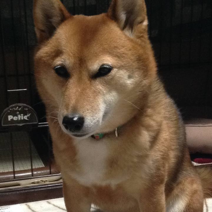 31c9ab0e deaa 4a8f a05c 1c359f4de251