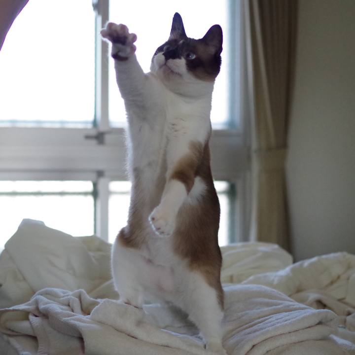 31cae8b8 3c4e 4bc6 b487 3483516b30f8