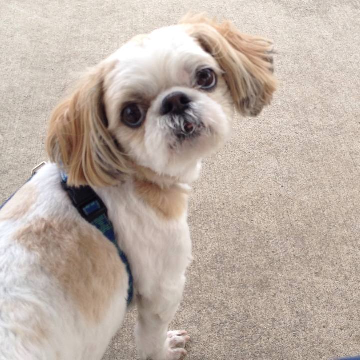 31ccc0e3 207b 4547 984e 88f1f7e32b3e