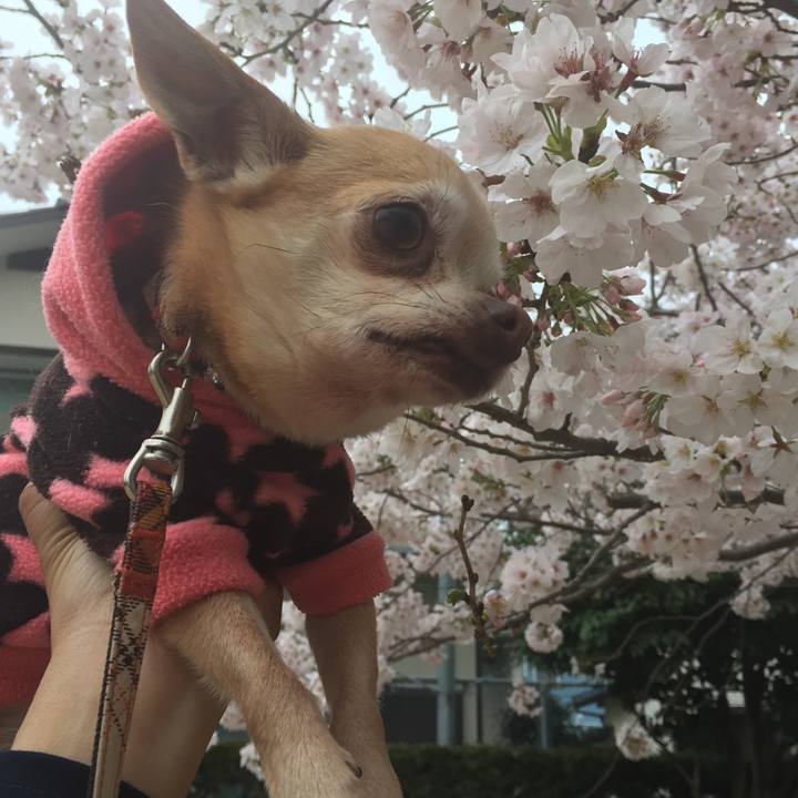 31ccda63 5bd7 4a96 86c1 b9950a617d37