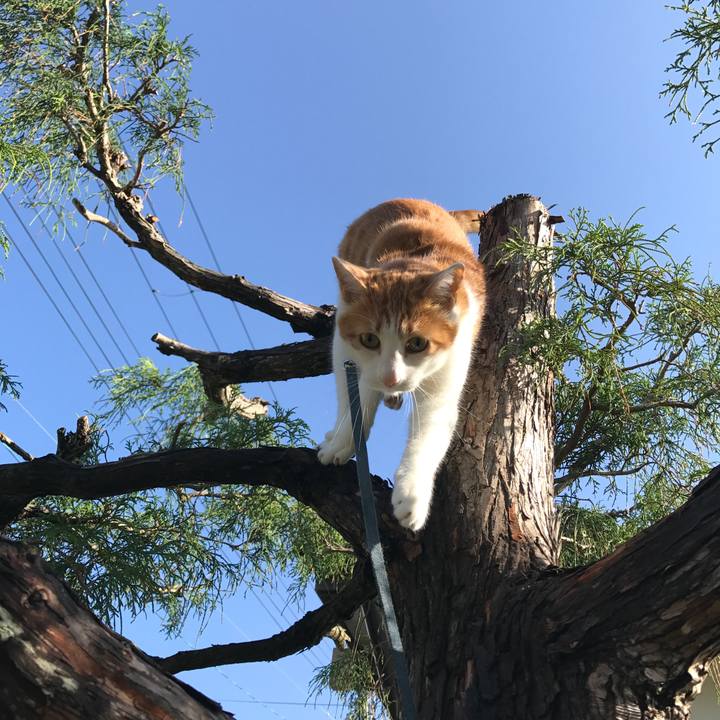 31cdd16a 6eac 4f28 a948 120eceafa06f