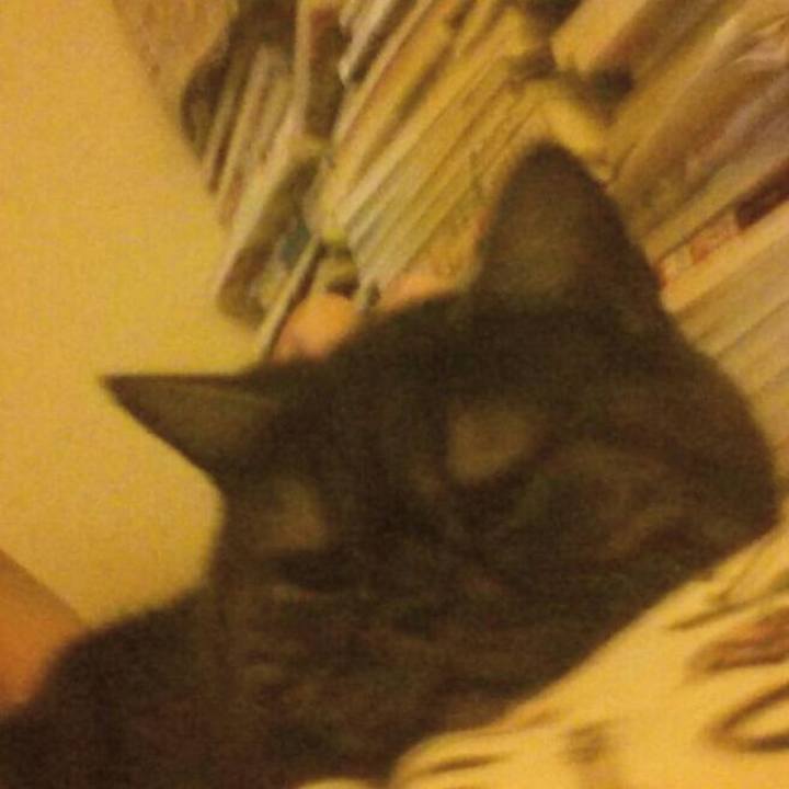 31ce3ad0 9738 4d58 938b 4fa643712c8b