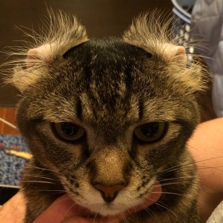 31ced857 c279 4b81 bf4c dac6eb30438b