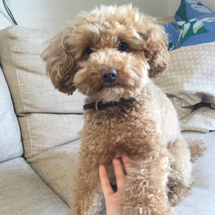 31cef6da 6fe4 4d4b 862d 3931ba30847f