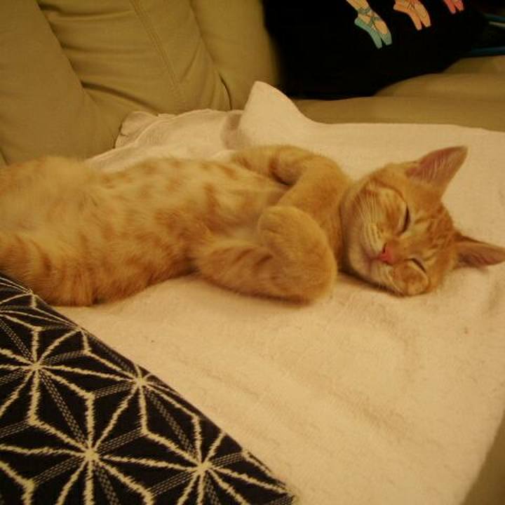 31cfa9a9 9678 49f4 be63 f30ce96fe795