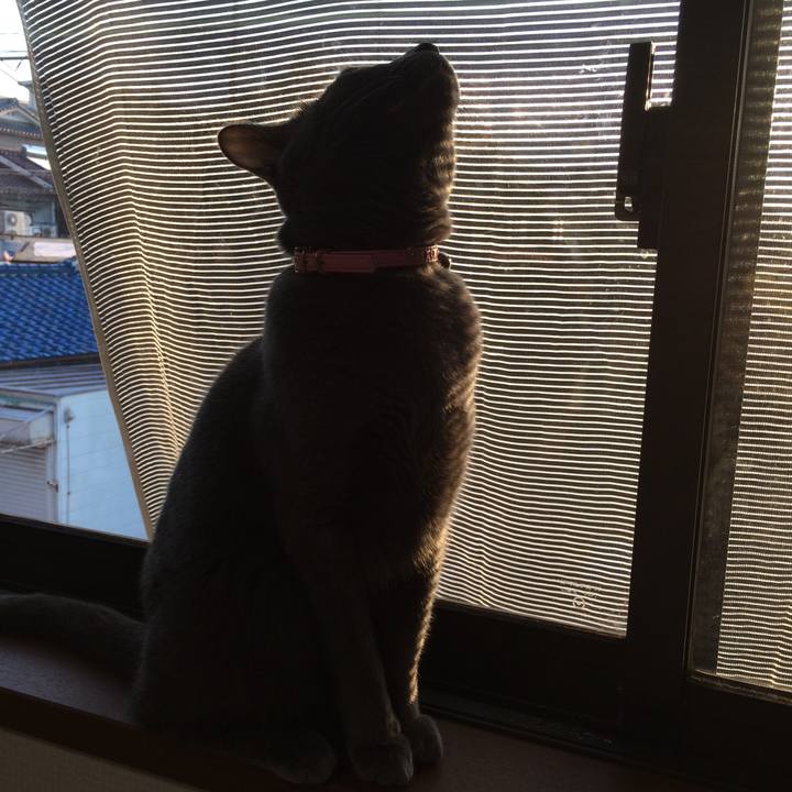 31cfbd19 cbfe 4d28 b80c 6993628c005e