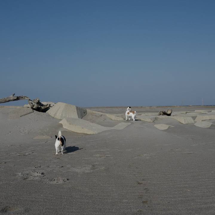 31d13ccb f08e 421f a209 673eed6a568d