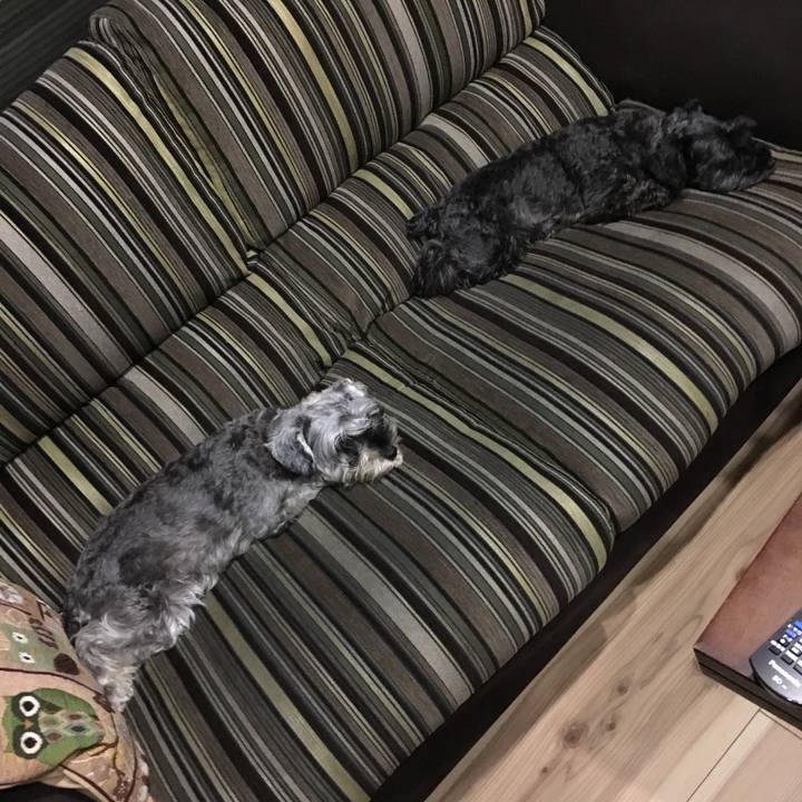 31d199e4 dd15 4826 8c72 0a983d5e6ec7