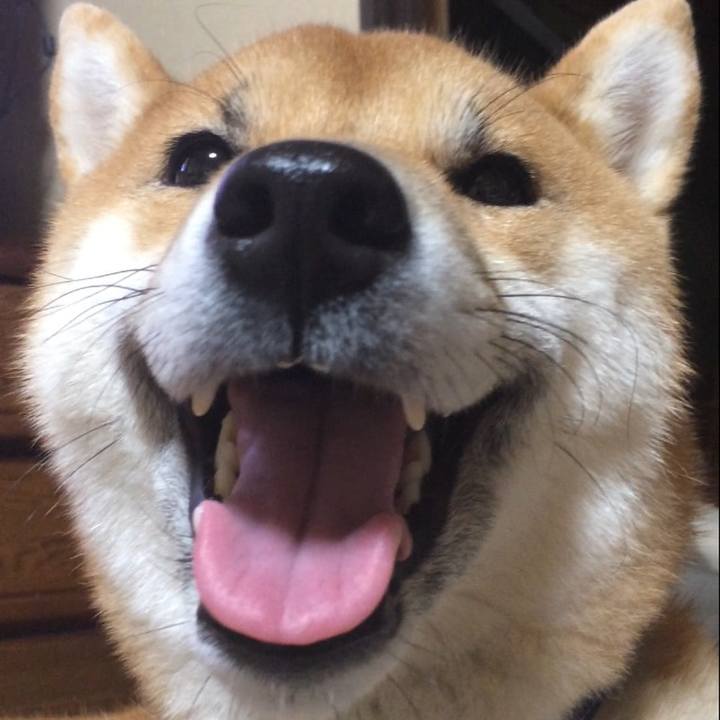 31d19a38 65b9 4178 b08e 38b603454fc6