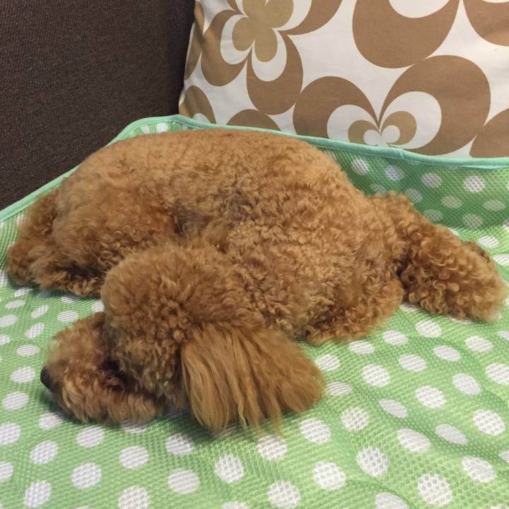 31d20e57 c210 4e6e bde5 7697c5e01fae