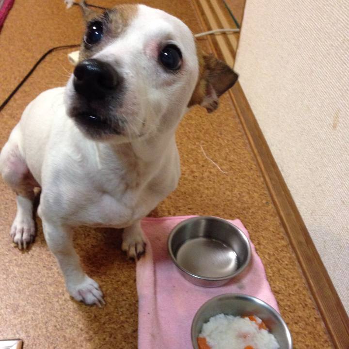 31d3ef96 d6ca 4074 8a9a 614065cb8236