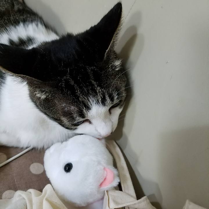 31d43814 4dd9 4968 9830 943c0304e668