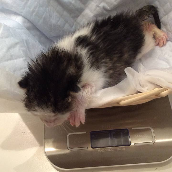 31d45d70 500d 4d27 bc96 e68d171b894b