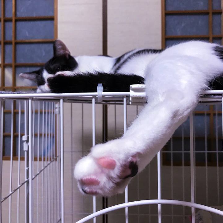 31d464d5 5c20 47d0 af53 e726d6c10838