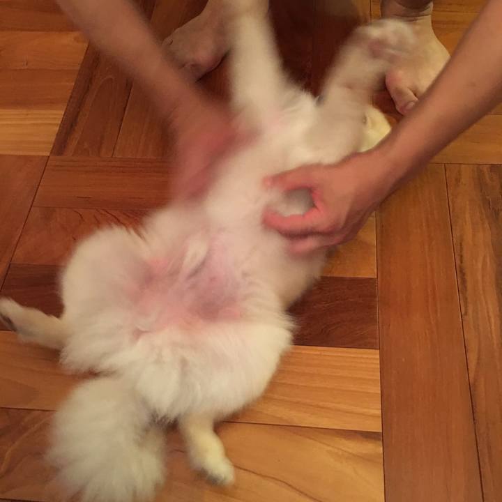 31d594d8 71ac 4375 89ef 1ee267819ecf