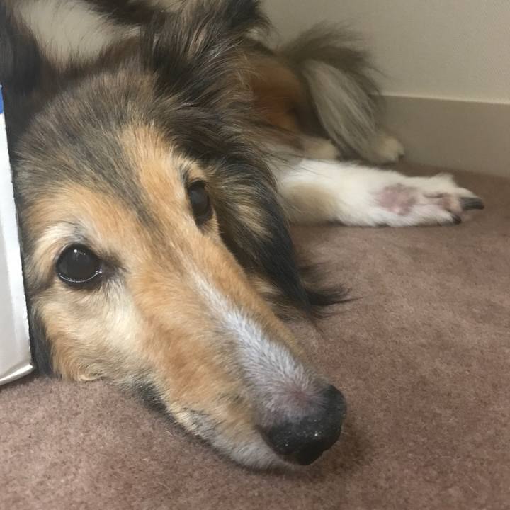 31d595e4 08ca 47db 9923 b72d145c2599