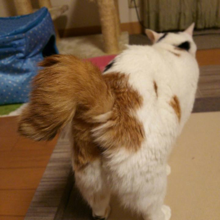 31d5ed01 39fc 408b 9219 e4cdacbde60d