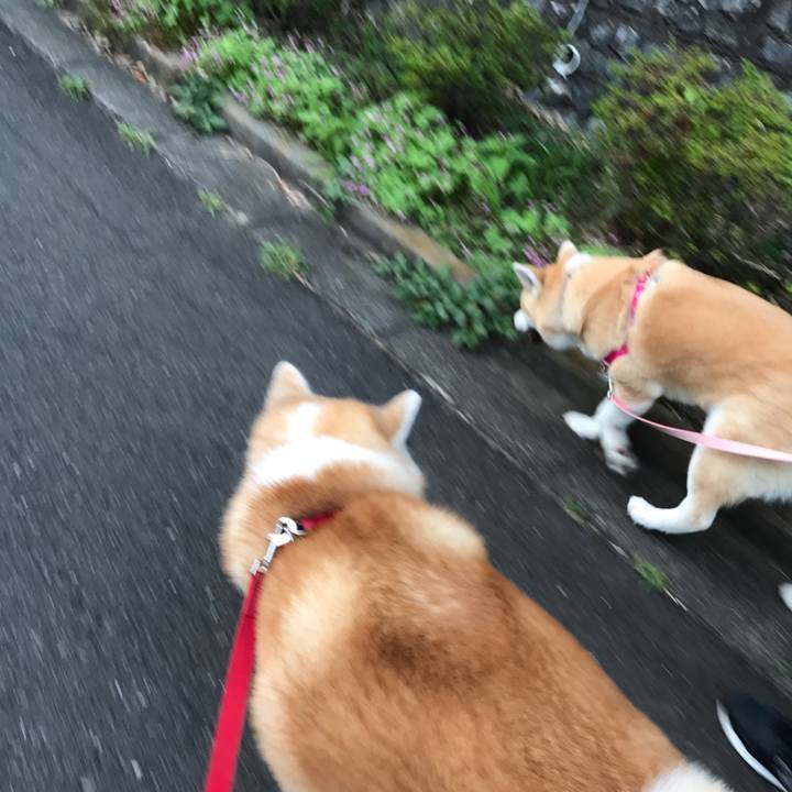 31d5f11f 738c 408d aae2 aa542cb2ee70