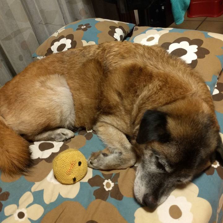 31d5f529 cf94 4575 b195 993fd9ce38f5