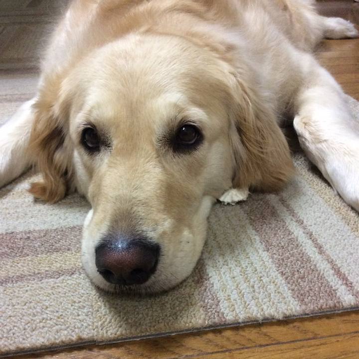 31d6046c 8848 4b18 8d51 7d30abc02992