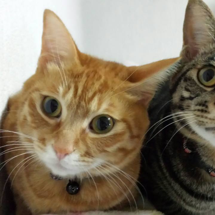 31d6aedb 8cca 4aa4 a481 890d049fed4f