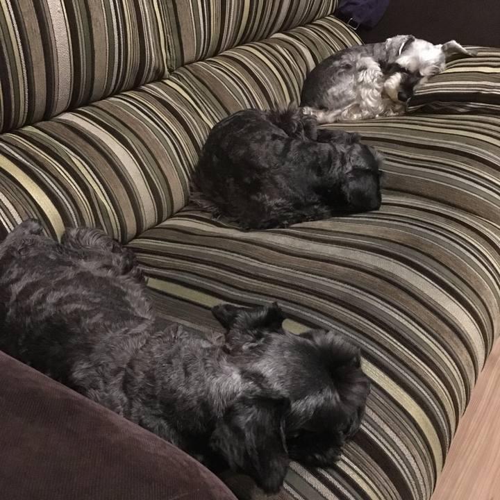 31d6d16d 34c6 423a 8376 921d55f0df18