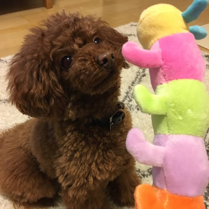 31d757b8 fbab 4ca4 8e02 55b6a588c074