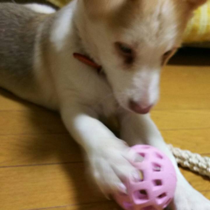 31d7714d b811 4b70 bcd2 836b543f712c