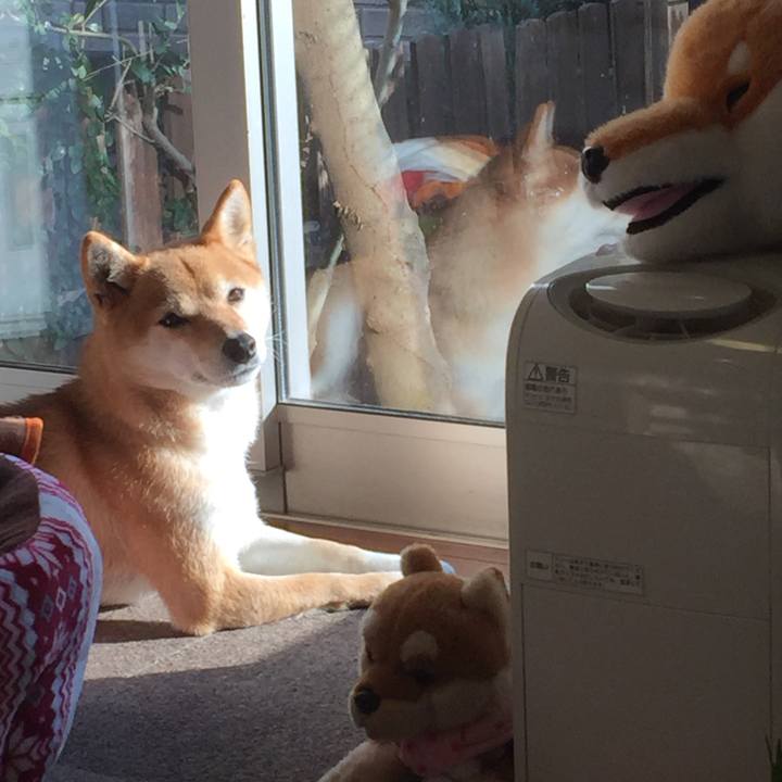 31d7bec5 30f2 4e2c a3f9 3e25c18f26fd