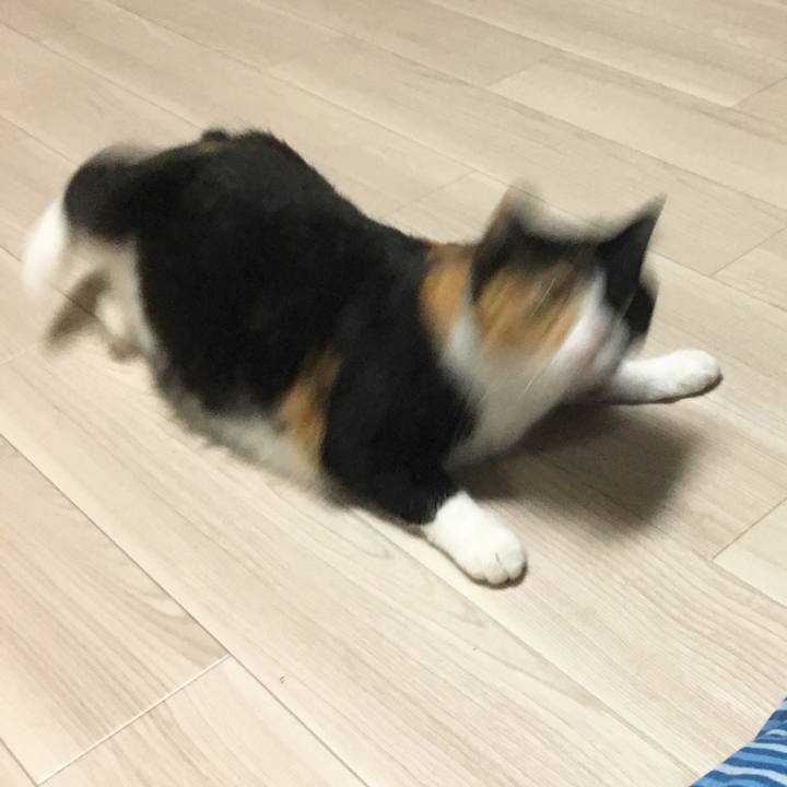 31d7d603 788e 45cb 9cb0 cfd38b18cdf5