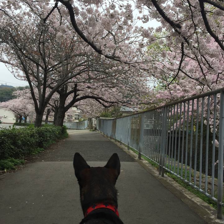 31d7fa34 4202 4dea beed 13dcead25ced