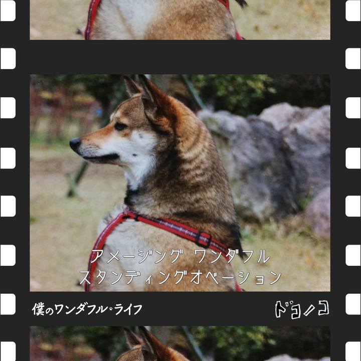 31d882e0 a1e5 4b5e a0db a5e3fede5590