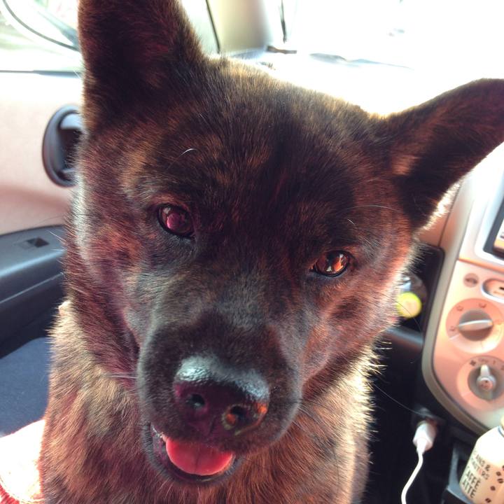 31d8e935 f3ad 4120 8b4d a09e34736154