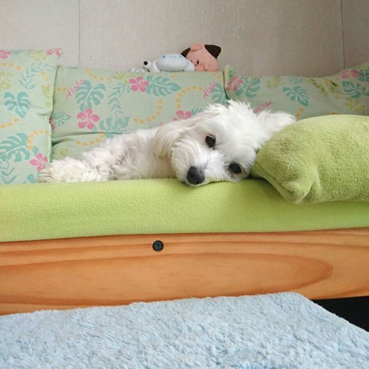 31d985ab 9ece 4d5f 97f1 ac8df35270b8