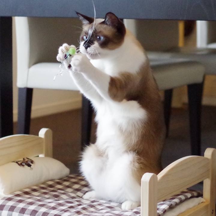 31d99a8b e3bf 408b a4d1 2d78b56a832c